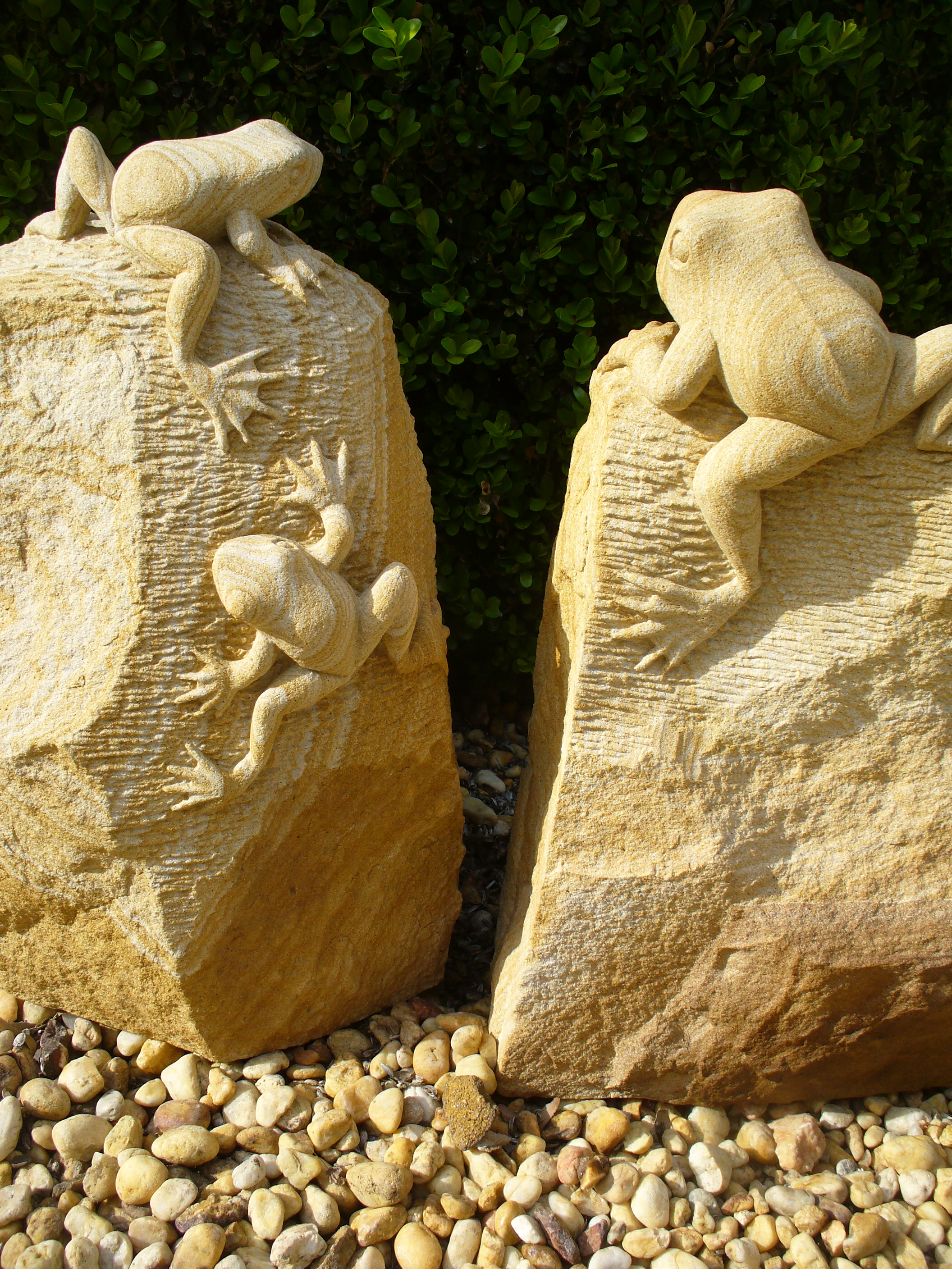 Frog 8